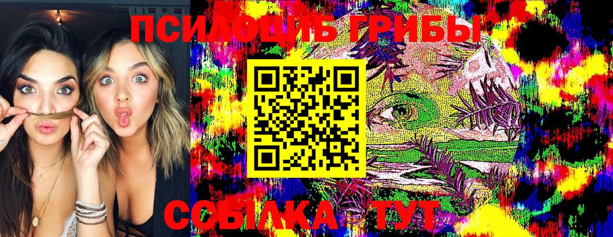 Псилоцибиновые грибы GOLDEN TEACHER Калуга